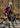 【ROAD TO SKY】ROCKBROS Cycling Bib Trousers Summer Breathable Dry Fit Overalls Road Bike Riding Pants for Women - Gio's Outdoors -ROCKBROSUSA