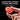 ROCKBROS Bike Saddle Mount Tail Light - Gio's Outdoors -ROCKBROSUSA