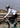 ROCKBROS Road-to-Sky Women's Cycling Trousers - Gio's Outdoors -ROCKBROSUSA