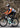 ROCKBROS Road-to-Sky Women's Cycling Trousers - Gio's Outdoors -ROCKBROSUSA