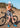 ROCKBROS Road-to-Sky Men's Bib Shorts - Gio's Outdoors -ROCKBROSUSA