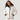 Women's Thermo Super Softshell® Ski Jacket - Gio's Outdoors -Free Country