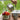 Qunature Stainless Steel Tea Set with Foldable Pot and Kettle for Outdoor Adventures - Gio's Outdoors -ROCKBROSUSA