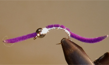 BH Silver Belly Worm - Purple - Gio's Outdoors