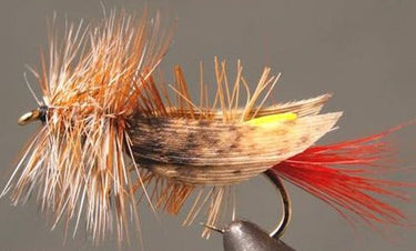 Joe’s Foam Hopper - Gio's Outdoors