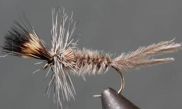 Crane Fly Larva - Grey - Gio's Outdoors