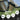 ROCKBROS Cycling Sunglasses Photochromic Polarized Sports Glasses UV400 Unisex - Gio's Outdoors -ROCKBROSUSA