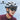 ROCKBROS Cycling Photochromic Glasses Electronic Color Changing SunGlasses Clear - Gio's Outdoors -ROCKBROSUSA