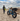 Dairyman Basket MIK - Gio's Outdoors -BiKASE