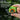 ROCKBROS Cute Cartoon Bicycle Bell - Gio's Outdoors -ROCKBROSUSA