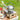 Qunature Stainless Steel Tea Set with Foldable Pot and Kettle for Outdoor Adventures - Gio's Outdoors -ROCKBROSUSA