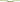 Spank Spike Race Bars 800mm Wide 30mm Rise 31.8mm Clamp Matte Green