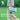Qunature Outdoor Picnic Mat - Waterproof, Heat-Insulating, Spacious for 6-8 People - Gio's Outdoors -ROCKBROSUSA