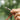 Qunature Titanium Survival Whistle 120dB Loud, Durable, Portable Outdoor Gear - Gio's Outdoors -ROCKBROSUSA