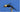 Bead Head Emerger™ - Gio's Outdoors