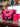 Revolution Carolina Team V3 Disc Golf Bag - Brilliant Rose - Gio's Outdoors