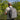Reaction Tackle Fishing Tackle Backpack- Trays included - Gio's Outdoors