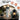 ROCKBROS Stainless Steel Insulated Water Bottle with Straw - Gio's Outdoors -ROCKBROSUSA