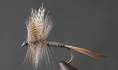 Red Quill - Gio's Outdoors