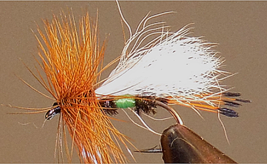 Royal Coachman Trude (Lime) - Gio's Outdoors