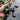 Reaction Tackle Braided Fishing Line - NO FADE Hi Vis Green - NEW - Gio's Outdoors