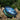 Reaction Tackle Braided Fishing Line - Aqua Camo - Gio's Outdoors