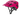 Smith Youth Helmet - Wilder Jr. with MIPS - Gio's Outdoors