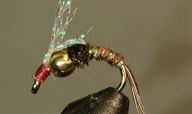 BH Sparkle Back PT - Gio's Outdoors