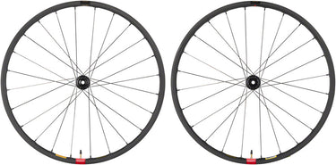 Reserve Wheels Reserve 25 GR Wheelset - 700 12 x 100/12 x 142 Center-Lock XDR Carbon DT 350