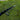 Reaction Tackle Telescopic Spinning Rod – Carbon Travel Fishing Rod – Collapsible Rod for Freshwater and Saltwater - NEW - Gio's Outdoors