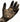 Kinetic Merino 150 Glove - Gio's Outdoors
