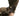 Softshell Glove - Gio's Outdoors