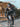 ROCKBROS Men¡¯s Winter Cycling Jacket Thermal Windproof Softshell for Road MTB - Gio's Outdoors -ROCKBROSUSA