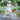 Q-BOAT 16-Inch Kids Bike with Training Wheels - Gio's Outdoors -ROCKBROSUSA