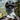 Fleece Balaclava Winter Helmet Liner - Gio's Outdoors -ROCKBROSUSA