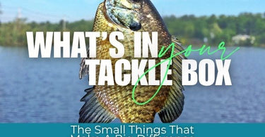 The Most Overlooked Fishing Gear That Actually Matters
