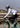 【ROAD TO SKY】by ROCKBROS Women's Cycling Tights in Black - Gio's Outdoors -ROCKBROSUSA
