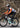 【ROAD TO SKY】by ROCKBROS Women's Cycling Tights in Black - Gio's Outdoors -ROCKBROSUSA