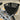 Dairyman X Bike Basket - Gio's Outdoors -BiKASE