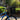 Momo Basket - Gio's Outdoors -BiKASE