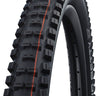 Schwalbe Big Betty Tire - 29 x 2.6" Tubeless Folding BLK Evolution Line Addix Soft Super Trail