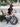 MBS 20-Inch Folding Bike - Gio's Outdoors -ROCKBROSUSA
