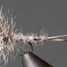 Callibaetis – Thorax - Gio's Outdoors