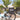 Big Daddy 2 Rack Bag - Gio's Outdoors -BiKASE