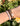 God is Great Letter Bracelet - Gio's Outdoors -Elevated Faith