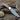 "Timber Strike" Custom Handmade Damascus Fixed-Blade Hunting Knife, 9-Inch with Rosewood Handle | KBS Knives Store - Gio's Outdoors