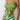 Sexy Knotted Split Swimsuit - Gio's Outdoors
