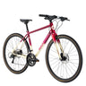 ROCKBROS SPIN-P2M Series Road Bike - Gio's Outdoors -ROCKBROSUSA