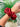 Game Day Solid Scrunchie - Burgundy - Gio's Outdoors