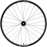 ENVE Composites AM30 Foundation Rear Wheel - 29" 12 x 148mm Center-Lock XD Innerdrive 80pt BLK 28H